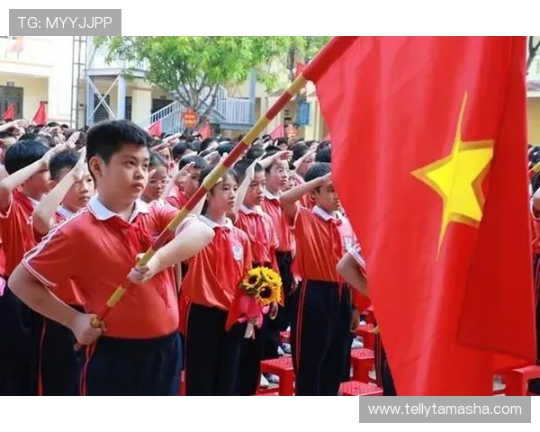 越南队金星旗帜