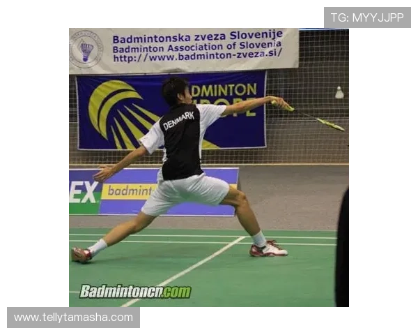 欧洲U17锦标赛意大利