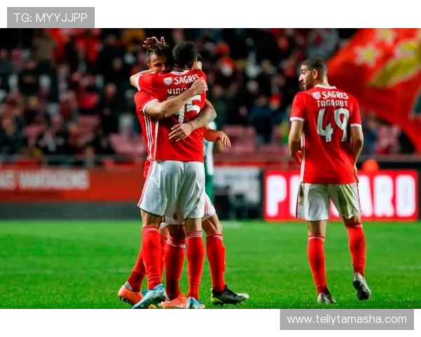 本菲卡联赛战绩