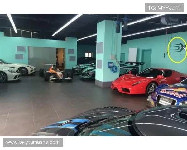 欧文训练完回家路上顺手买了辆布加迪，就为了配他车库那堆车的颜色